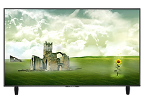 GOLDLINE GL65U4AT11-SC, 65" 4K UHD, SMART TV